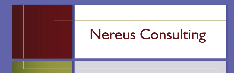 Nereus Consulting - de voordelen van beveiliging